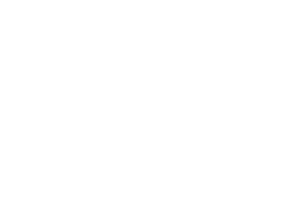 maximus-horses-logo-weiss